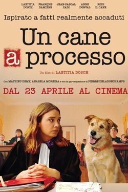 locandina del film UN CANE A PROCESSO