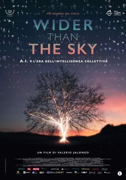 locandina del film WIDER THAN THE SKY - PIU' GRANDE DEL CIELO