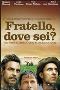Locandina del film FRATELLO, DOVE SEI?
