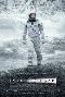 Locandina del film INTERSTELLAR