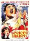 Locandina del film LO SCEICCO BIANCO